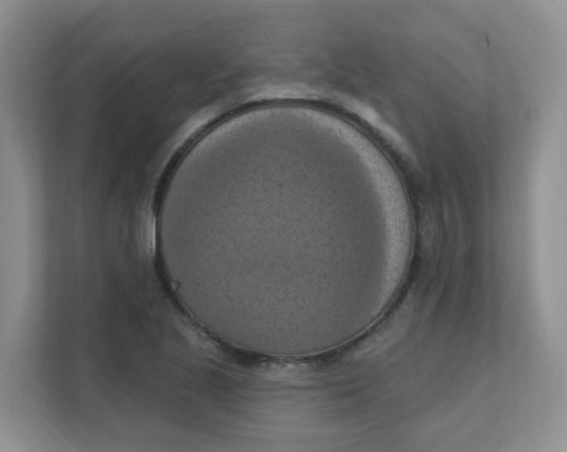 X0000111361221200907311006