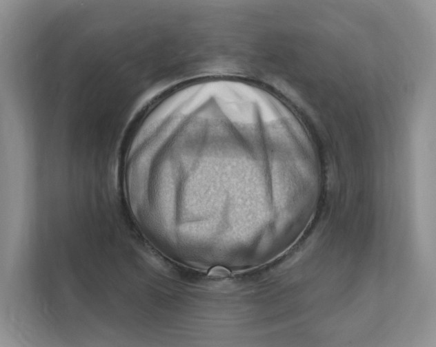 X0000111361222200907311006