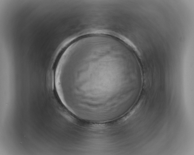 X0000111361223200907311006