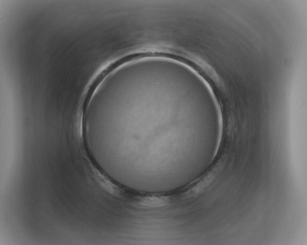 X0000111361224200907311006