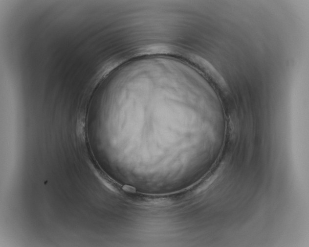 X0000111361225200907311006