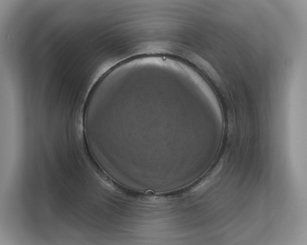 X0000111361226200907311006