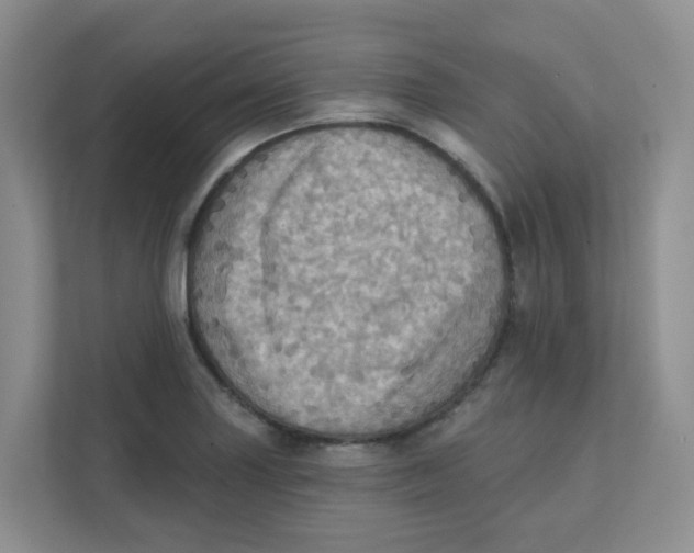 X0000111361227200907311006