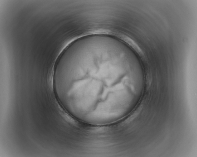 X0000111361228200907311006