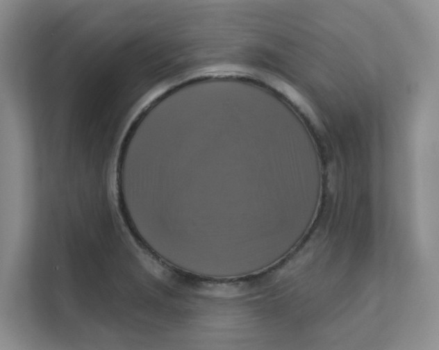 X0000111361229200907311006
