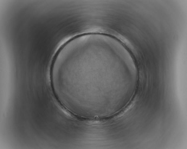 X0000111361230200907311006