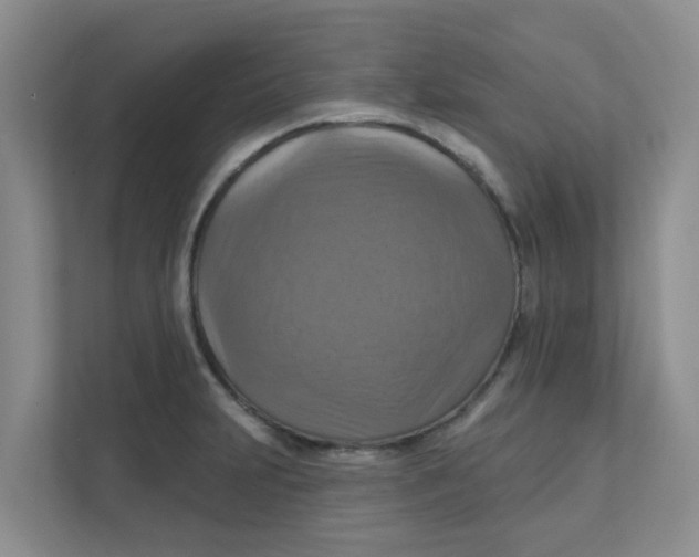 X0000111361231200907311006