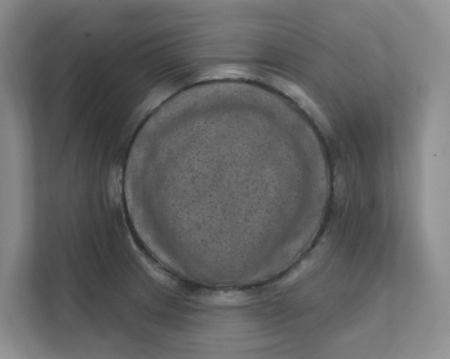 X0000111361233200907311006