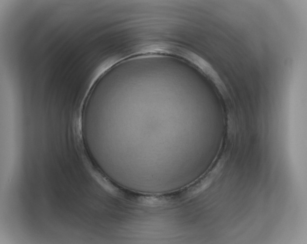 X0000111361234200907311006