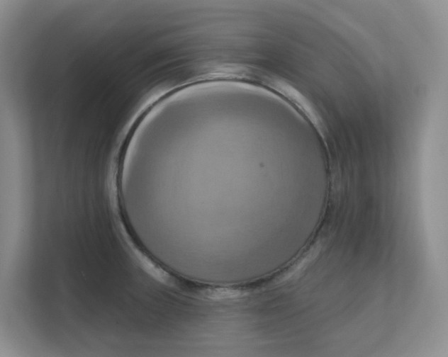 X0000111361235200907311006