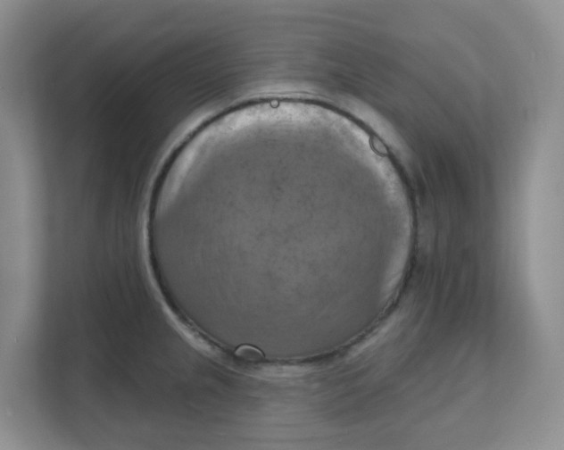 X0000111361237200907311006