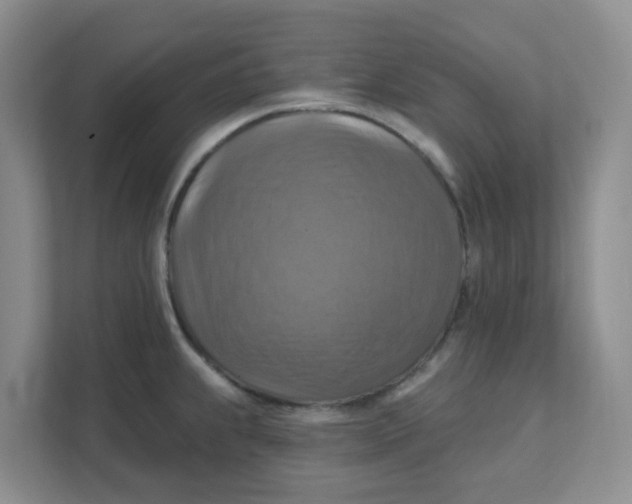 X0000111361239200907311006