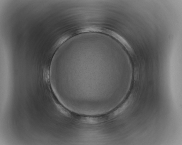 X0000111361241200907311006