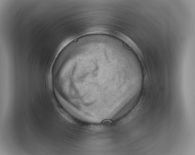 X0000111361242200907311006