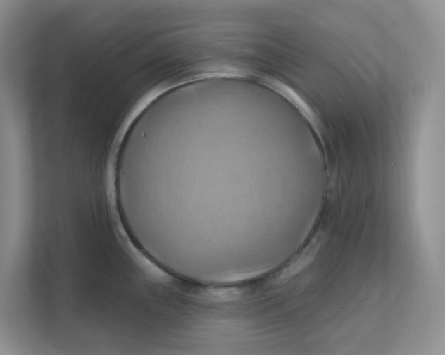 X0000111361243200907311006