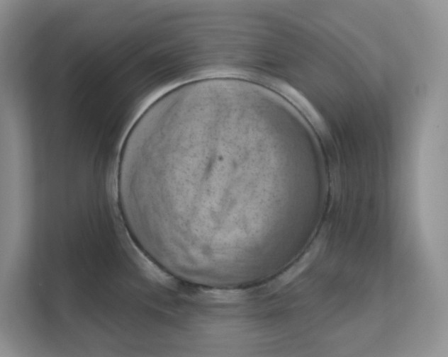 X0000111361244200907311006