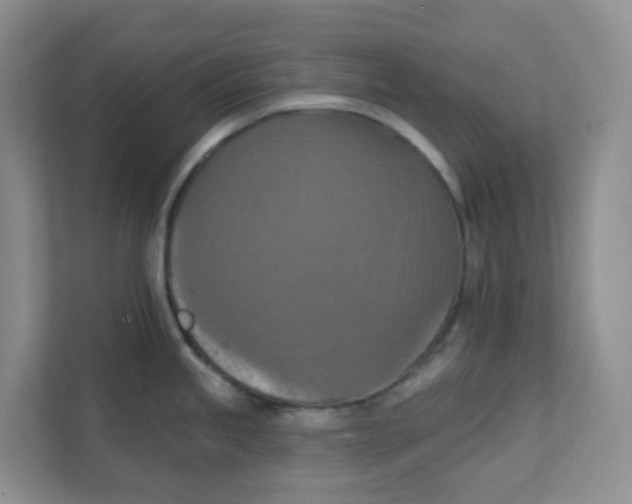 X0000111361245200907311006
