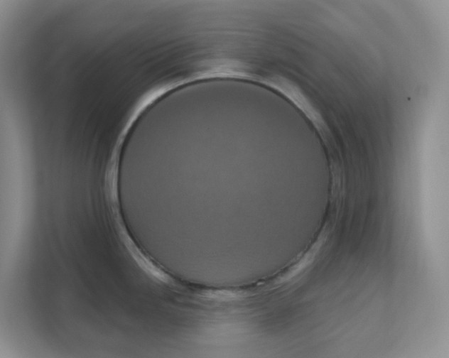 X0000111361246200907311006