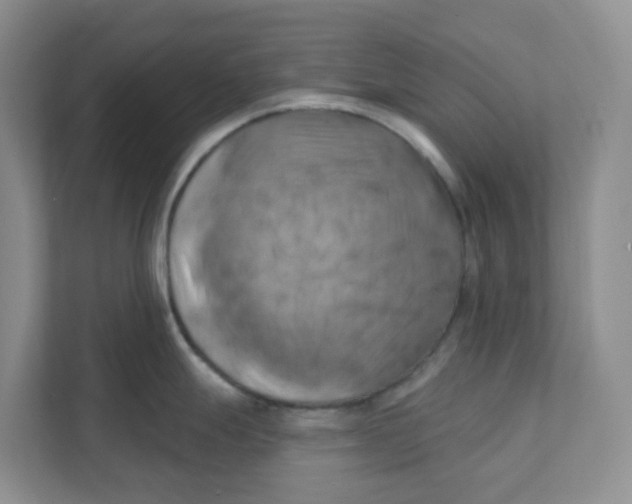 X0000111361247200907311006