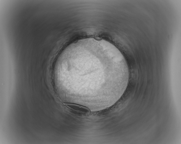 X0000111361249200907311005