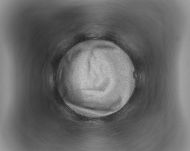X0000111361250200907311005