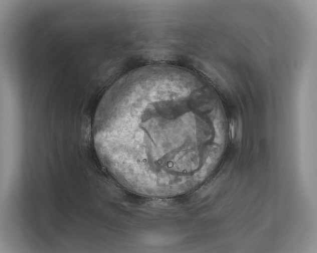 X0000111361251200907311005