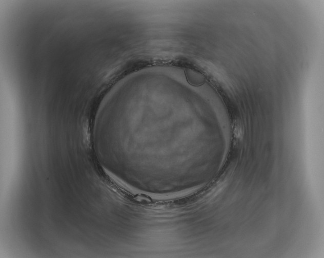 X0000111361252200907311005