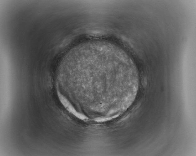 X0000111361253200907311005