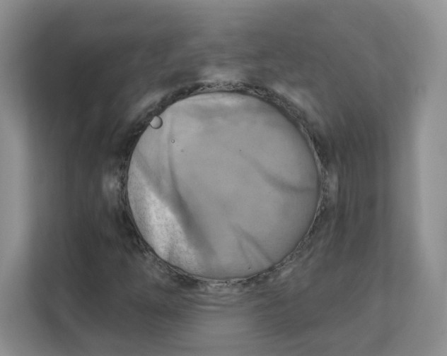 X0000111361254200907311005