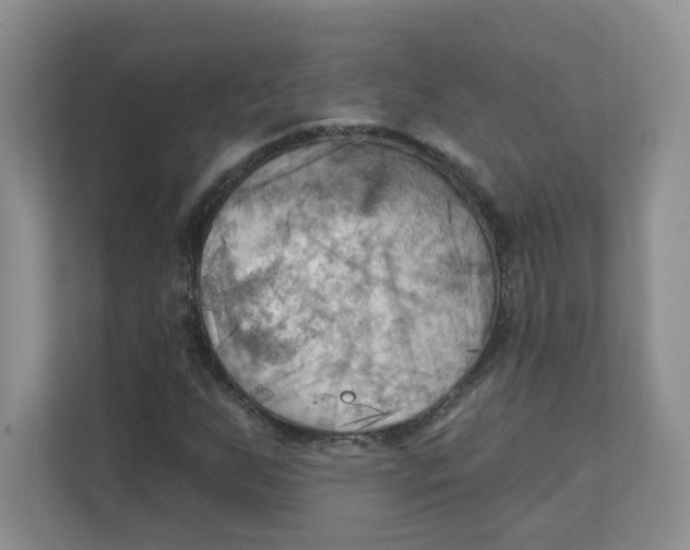 X0000111361255200907311005