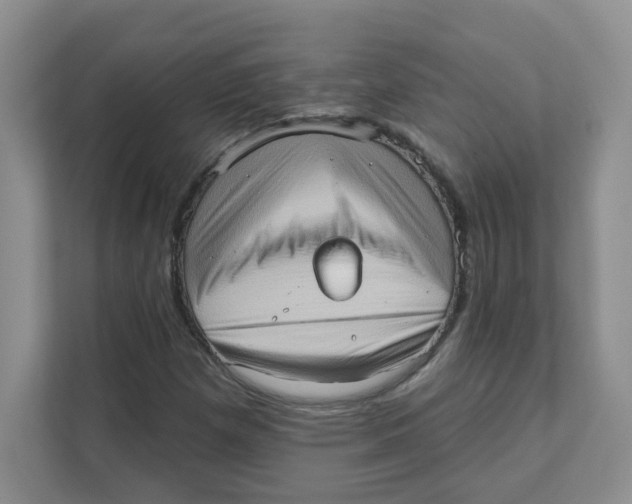 X0000111361257200907311005