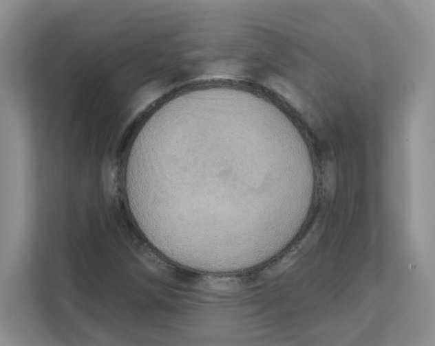 X0000111361258200907311005