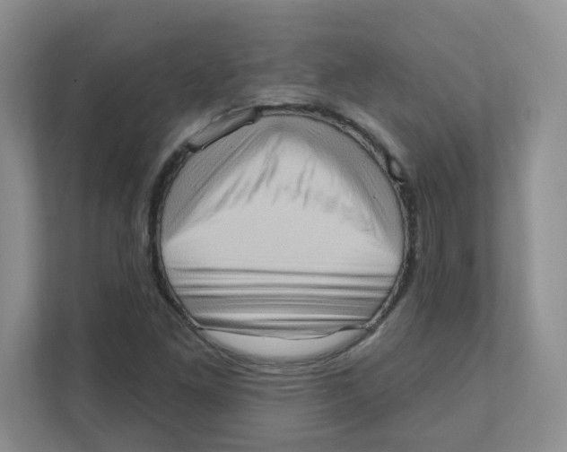 X0000111361261200907311005