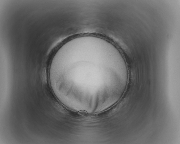 X0000111361262200907311005