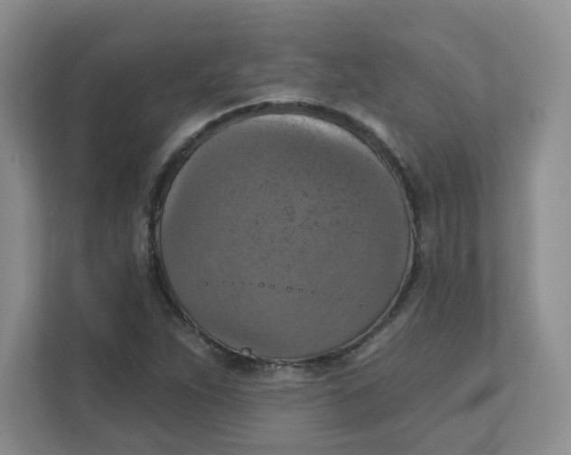 X0000111361263200907311005
