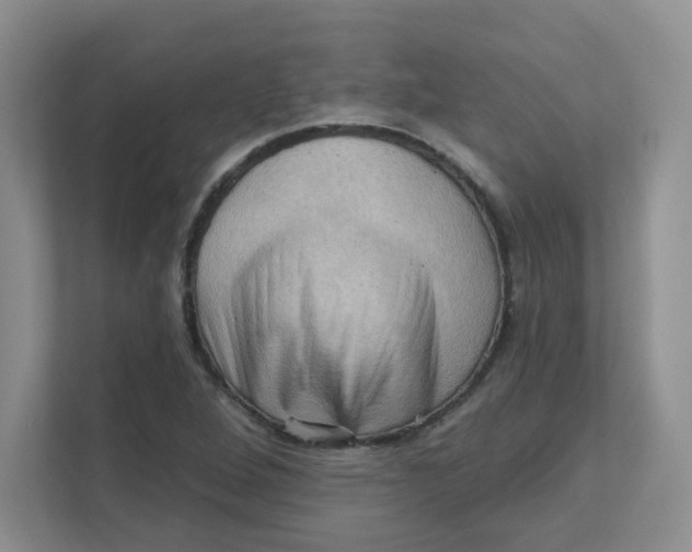 X0000111361264200907311005