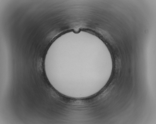 X0000111361265200907311005