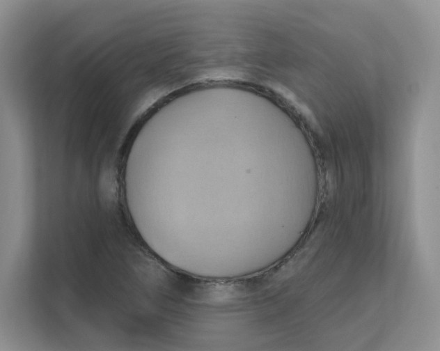 X0000111361266200907311005