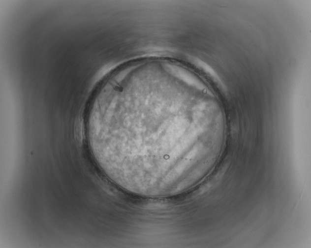 X0000111361267200907311005