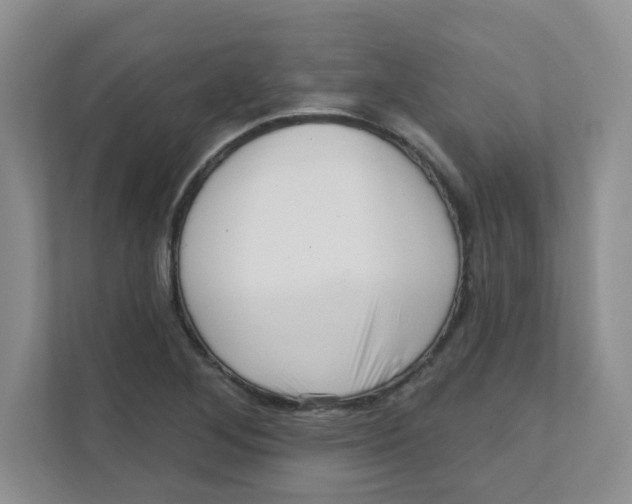X0000111361268200907311005