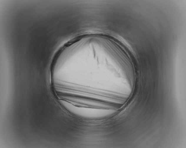X0000111361269200907311005
