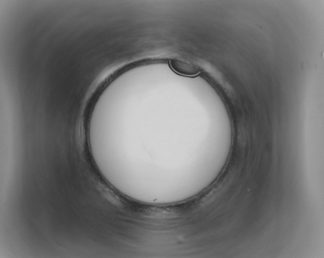X0000111361270200907311005