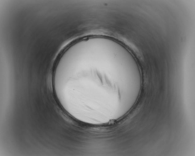 X0000111361272200907311005