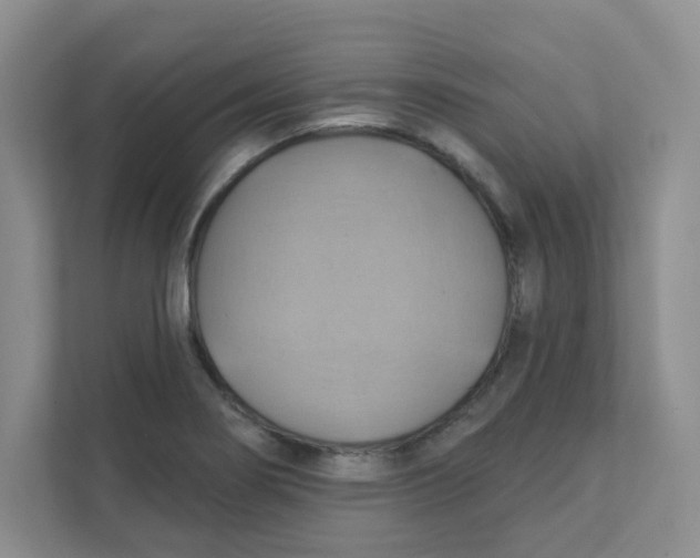 X0000111361274200907311005