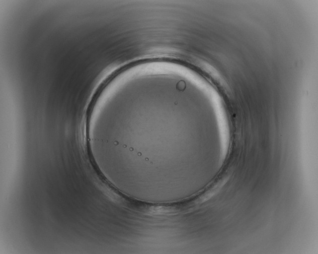 X0000111361275200907311005