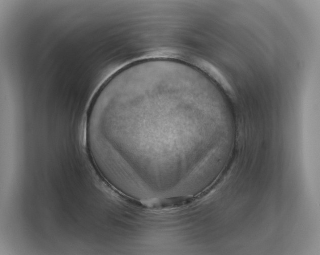 X0000111361276200907311005