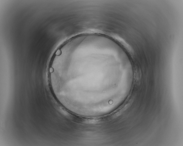 X0000111361278200907311005