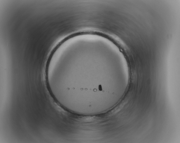 X0000111361279200907311005