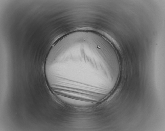 X0000111361281200907311005