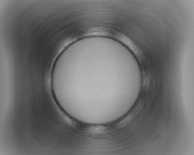 X0000111361282200907311005
